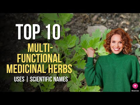 Video: Medicinal Plants In The Backyard. Part 1