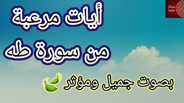 ماتيسر من سورة طه 🍃قران كريم  وَيَسْأَلُونَكَ عَنِ الْجِبَالِ فَقُلْ يَنسِفُهَا رَبِّي نَسْفًا (105)