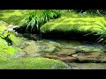 【自然の音】小さな泉 / Nature Sounds - A Small Spring