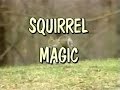 Squirrel Magic (1994 VHS)