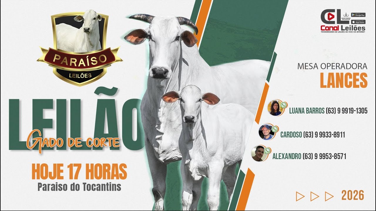 LEILÃO  GADO DE CORTE PARAÍSO LEILÕES - PARAÍSO-TO 10/03/2026.