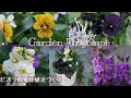 【ガーデニング】シックで大人可愛いビオラの寄せ植えづくり🌼【寄せ植え】