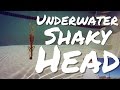 Underwater Shaky Head