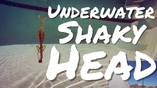 Underwater Shaky Head