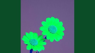 Background for Relaxing Mirrors