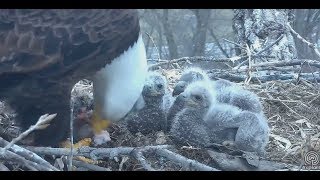 Decorah Iowa~Mom is feeding her Kids- Monster crops on them~2018-04-21