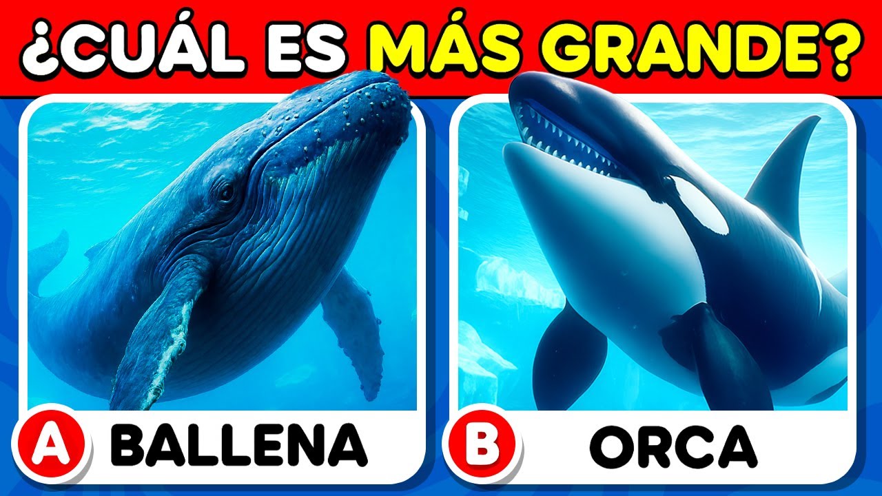 ¿Cuánto Sabes de Animales Marinos? 🧠🐳✅ Quiz de Cultura General