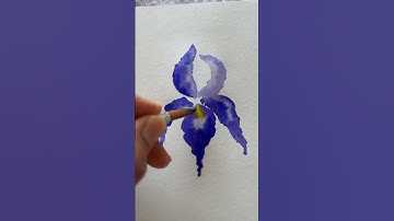 How to paint iris flower with watercolour ink #watercolor #ink #flowers #howto #art #painting
