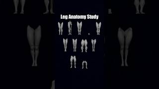 Leg anatomy study #3d #blender #sculpting #legs