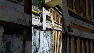 My First Visit to Alcatraz #shorts #alcatraz