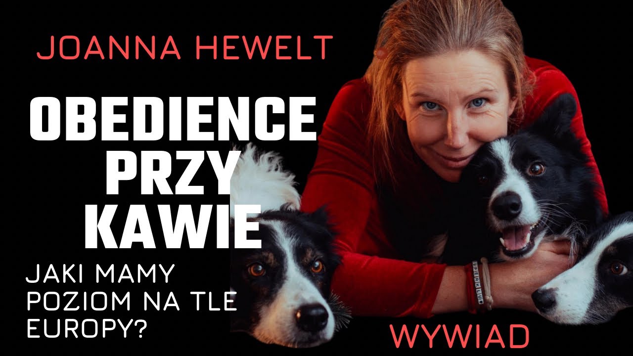 Obedience przy kawie. Nagroda socjalna, trendy, poziom Polski, rasy w Obi. Joanna Hewelt