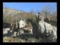 Era E Moll S Pjesa E Dyt