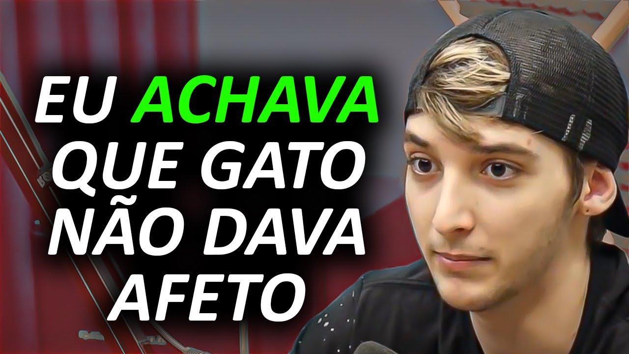 GATO OU CACHORRO?