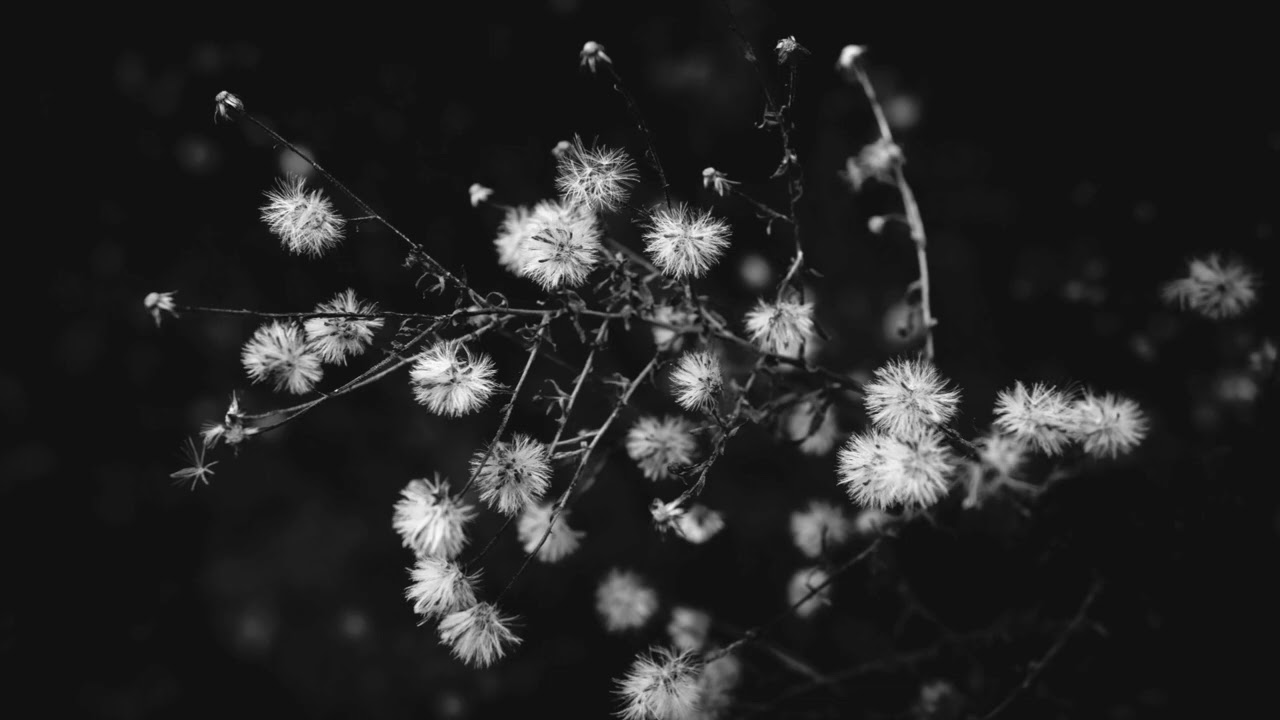 Guarda Ovi Wood,Roy Woods-Blind su YouTube Guarda Ovi Wood,Roy Woods-Blind su YouTube