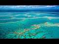 Great Barrier Reef experiencing ‘record high’ levels of coral coverage