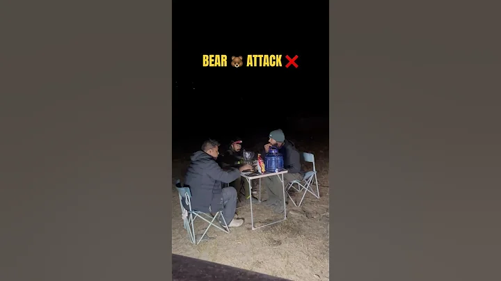 Bear 🐻 Attack ❌ While Car Camping In Himachal thumbnail