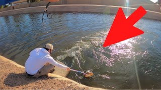 Arizona Canal Spillway Fishing! (Underwater Canal Footage)