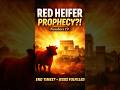 The Red Heifer Prophecy EXPLAINED (Numbers 19) | End Times &amp; Jesus