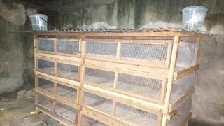 Cage moderne pour poulet de chair: COMMENT FAIRE 120 poulet sur 3m²