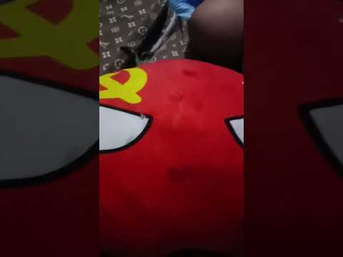 This Country Bus Accidentally Singing Against The Paradise