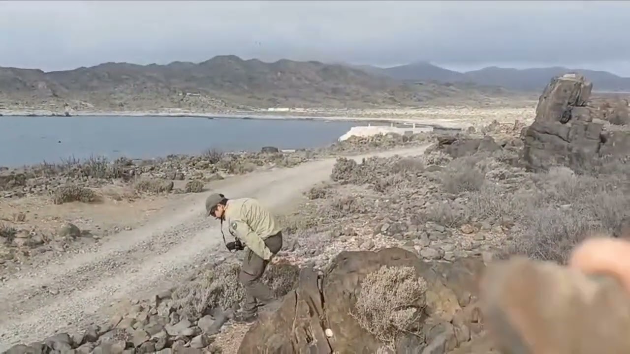 Sector La Herradura, Carrizal Bajo.  Lugar cercano al Parque Nacional Llanos de Challe