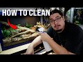 How To Clean a Reptile Tank