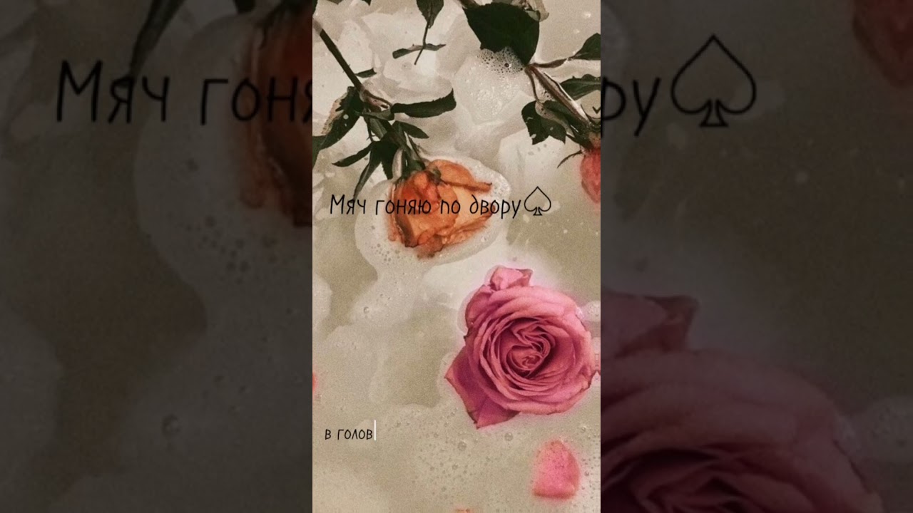 【idea: @lSneshok.l 】 я не знаю что больше сказать:|)