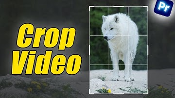 How to Crop Video in Premiere Pro 2025  | Step-by-Step Guide