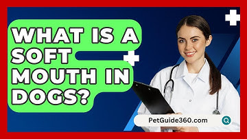 What Is A Soft Mouth In Dogs? - PetGuide360.com