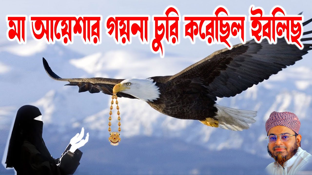 Mufti nasir uddin ansari | নাসির উদ্দিন আনসারী। মা আয়েশার গয়নার ঘটনা  | মুফতি নাসির উদ্দিন আনসারী