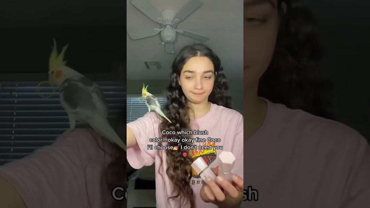 MY BABY BIRD CHOOSE WHAT MAKEUP I CAN DO Foryou Bird Fyp Viral Makeup Shorts