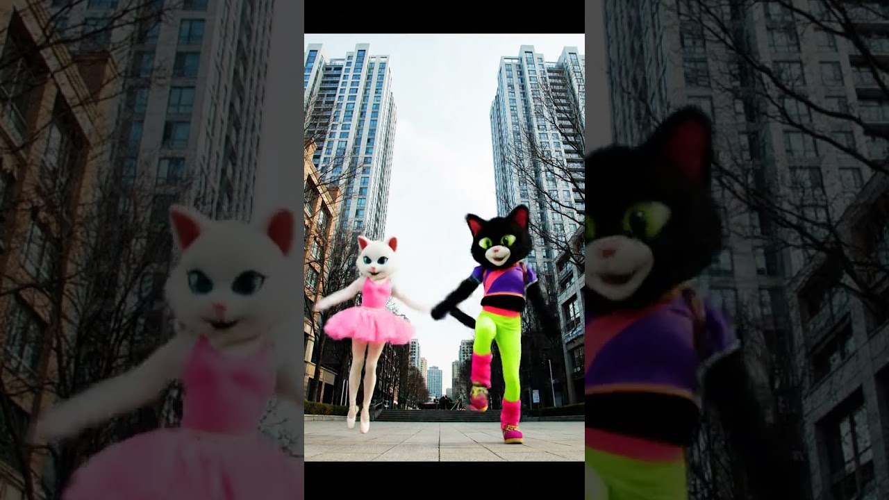 These Dancing Cats Just Broke the Internet 