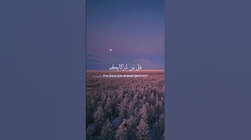 ياسر الدوسري | سورة الروم | الآية 40