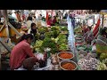 Cambodian Food Market Tour - Amazing Fresh Rural Vegetable, Rural Fish &amp; More Food in Town Market