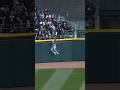 Parker Meadows Scales the Outfield Wall to Make Insane Catch