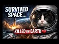 She Survived Space… But Earth Was Deadlier 💔