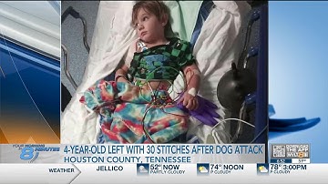 Catch Up Quick: Your headlines from 9/20 in 8 minutes or less