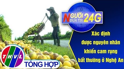 Người đưa tin 24G (11g ngày 26/9/2020) - Xác định được nguyên nhân khiến cam rụng bất thường...