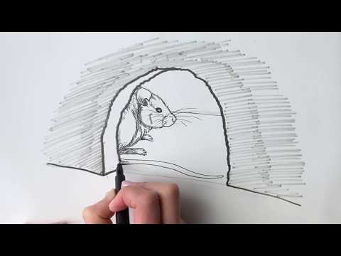 فيديو: كيفية رسم الماوس بقلم رصاص
