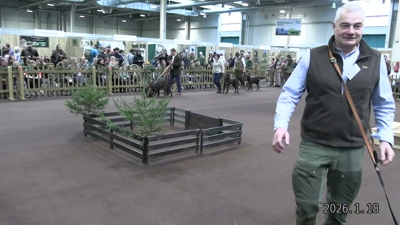 ,,Präsentation der Jagdhunderassen 