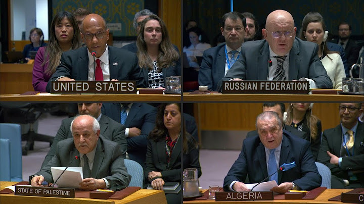 EEUU veta en el Consejo de Seguridad petición palestina de adhesión a la ONU | AFP