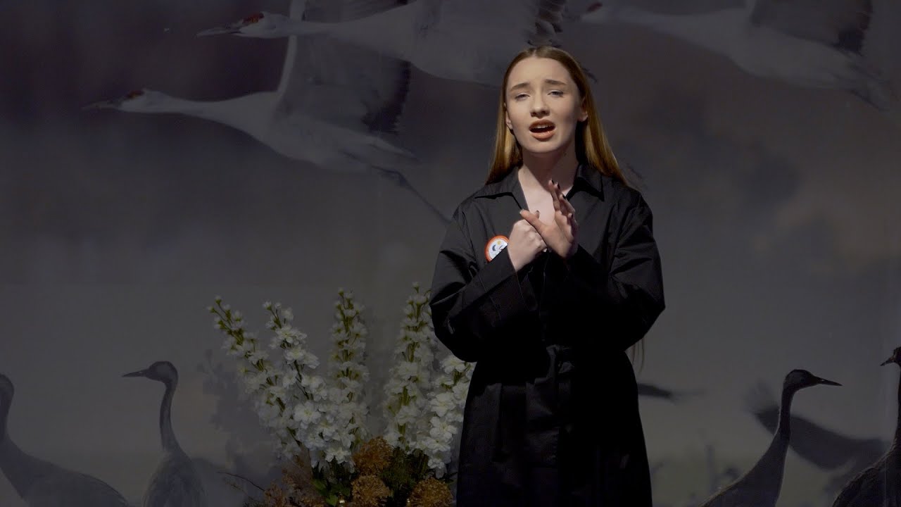 Lietuvos vaikų ir moksleivių televizijos konkurso „Dainų dainelė 2024“  pirmasis atrankos etapas