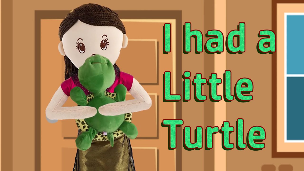 I Had A Little Turtle Tiny Tim Song Kids Songs And Nursery Rhymes i-had-a-little-turtle-tiny-tim-song-kids-songs-and-nursery-rhymes