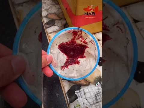 Video Hướng dẫn cho ăn trùn huyết đúng cách - NAB Betta &... - youtube