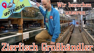 Woher kommen unsere Zierfische? | Zu Besuch bei Aquarium Ruinemans | Aquaddicted unterwegs | 1/2