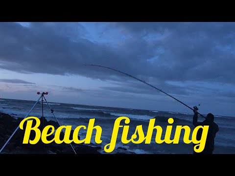 Beach fishing N Wales Anglesey / #seafishinguk / Bass fishing 🎣  2026