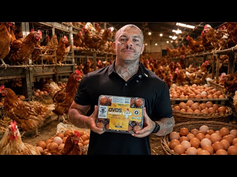 NEW ACHIEVEMENT - MANSÃO MAROMBA EGG BRAND