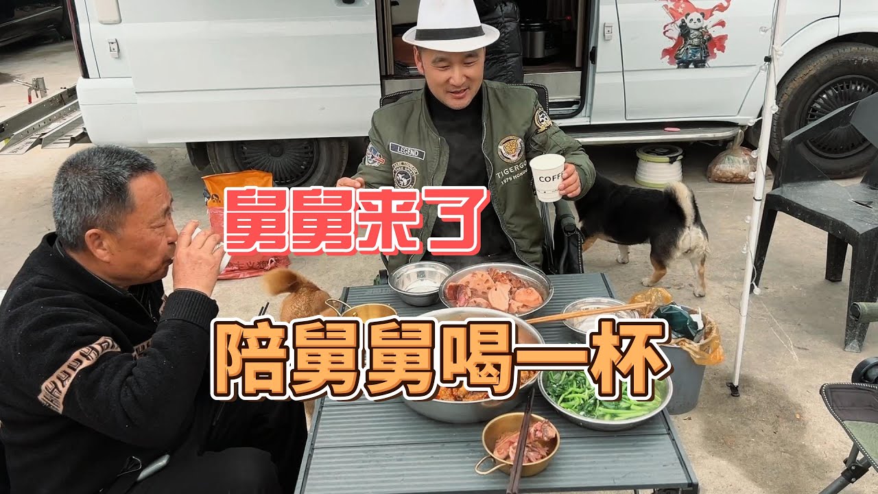 鐵牛旅行記831集/馬犬的智商你不敢想，竟然會開房車們去找我，以花命名的城市太美