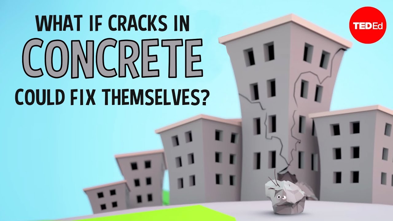 What if cracks in concrete could fix themselves? - Congrui Jin