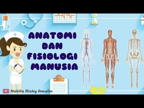 Video: Apakah anatomi dan fisiologi merupakan pilihan?